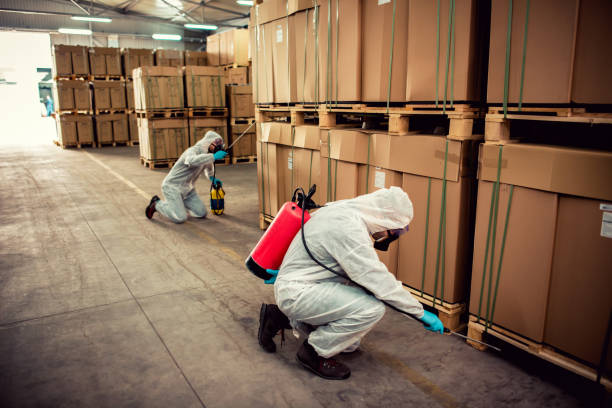 Best Residential Pest Control  in Poplar Grove, IL