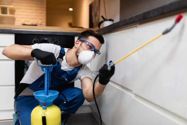 Best Flea Control Services  in Poplar Grove, IL