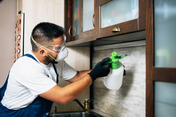 Best Cockroach Control Services  in Poplar Grove, IL