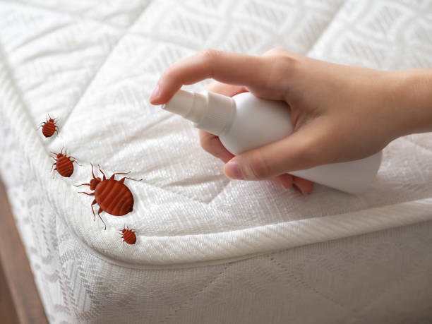 Best Affordable Pest Control Services  in Poplar Grove, IL