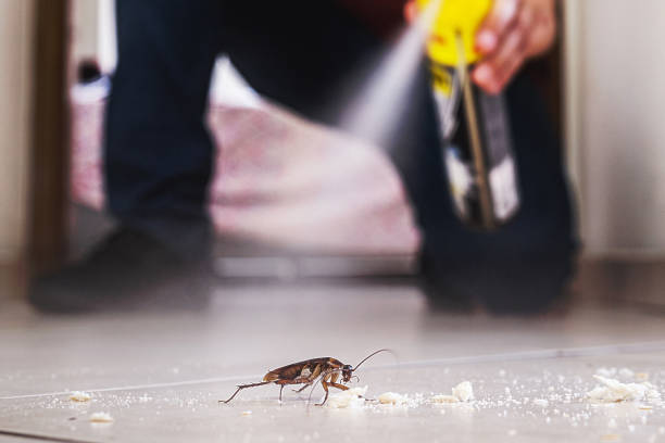 Best Bed Bug Extermination  in Poplar Grove, IL